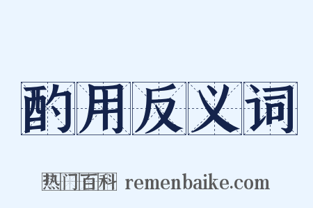 酌用反义词是什么意思的图片